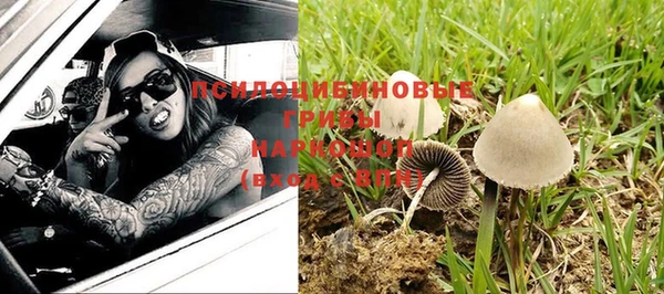 PSILOCYBIN Арсеньев