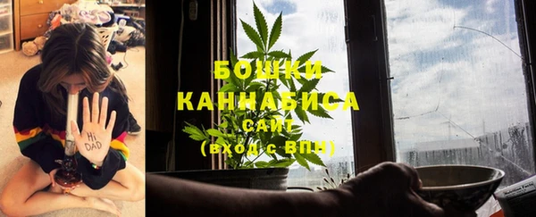 PSILOCYBIN Арсеньев