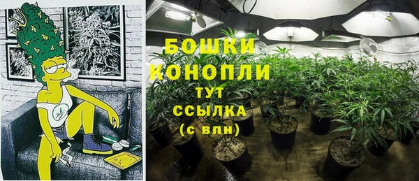 PSILOCYBIN Арсеньев